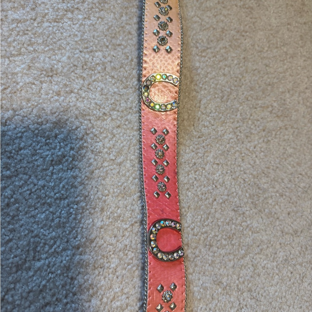 Pink Rhinestone Embellished Belt - Picture 3 of 5